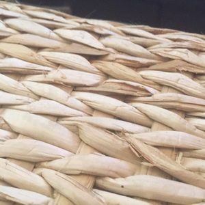 Meet your Posher, Daniella